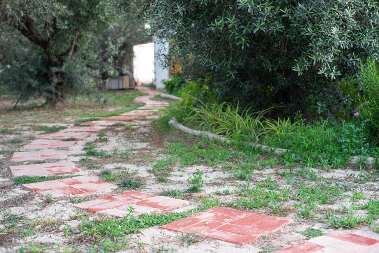 Casa De Campo Mediterranea En Alicante Agost Exteriör bild