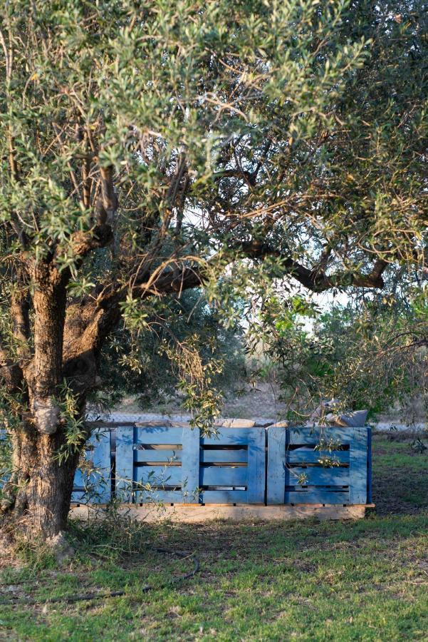 Casa De Campo Mediterranea En Alicante Agost Exteriör bild